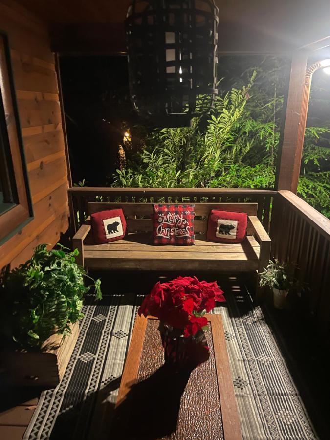 Cozy Creekfront Family Cabin-Pet Friendly -Gamerm-Hot Tub Hiawassee Buitenkant foto